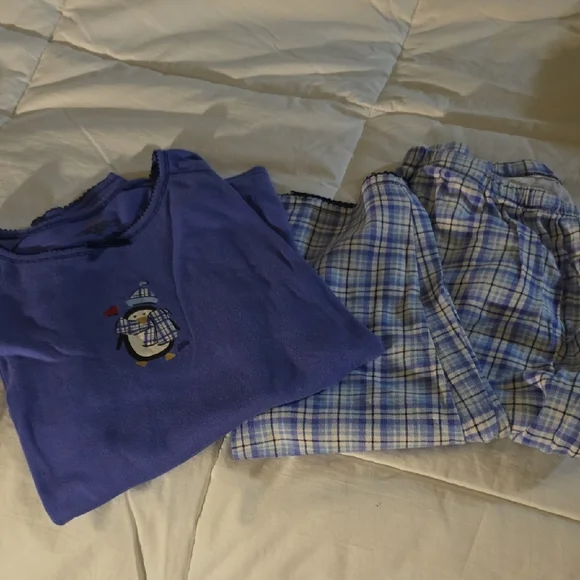 Cozy Pajamas Set - Blue Penguin Design - Picture 1 of 4